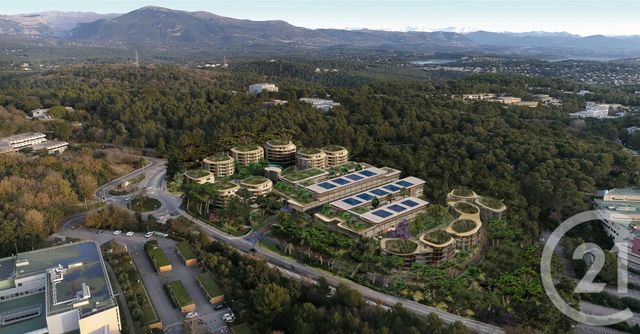 Appartement T2 à vendre - 2 pièces - 46.5 m2 - VALBONNE - 06 - PROVENCE-ALPES-COTE-D-AZUR - Century 21 Visa Immobilier