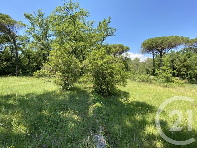 terrain à vendre - 1552.0 m2 - VALBONNE - 06 - PROVENCE-ALPES-COTE-D-AZUR - Century 21 Visa Immobilier