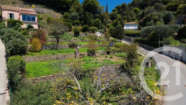 terrain à vendre - 2231.0 m2 - VALLAURIS - 06 - PROVENCE-ALPES-COTE-D-AZUR - Century 21 Visa Immobilier